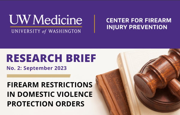 Firearm Restrictions in Domestic Violence Protection Orders