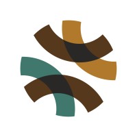 Parter Logo: The Black and Brown Collective for Community Solution to Gun Violence
